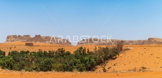 مناظر طبيعية للكثبان الرملية ومزرعة التمر