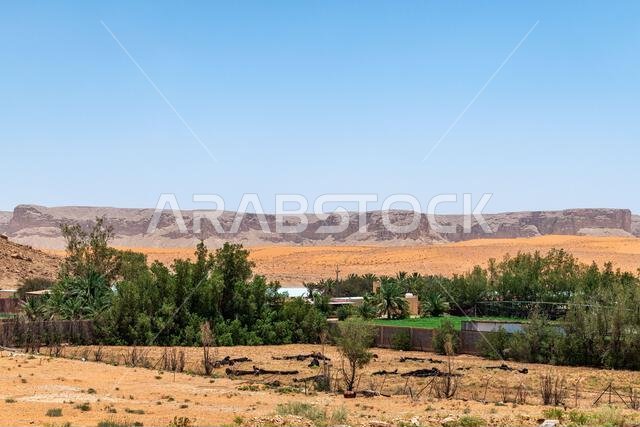 مناظر طبيعية للكثبان الرملية ومزرعة التمر