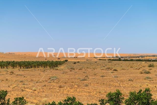 مناظر طبيعية للكثبان الرملية ومزرعة التمر