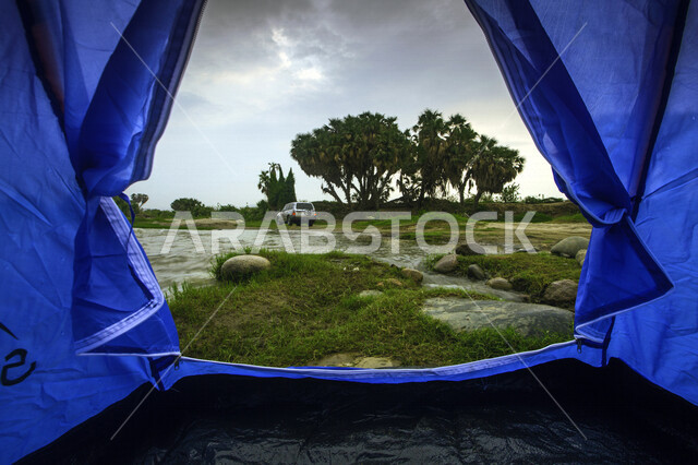  الطبيعة  في وداي حنيفة في مدينة الرياض بالمملكة العربية السعودية , جريان المياه بالأودية , الأعشاب والأشجار الخضراء , السياحة والترفيه, التخييم في فصل الشتاء