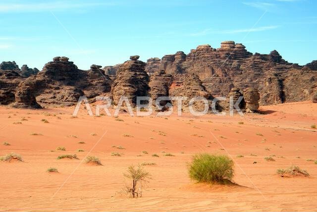الصحراء العربية. المملكة العربية السعودية