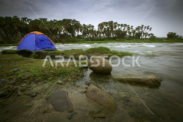  الطبيعة  في وداي حنيفة في مدينة الرياض بالمملكة العربية السعودية , جريان المياه بالأودية , الأعشاب والأشجار الخضراء , السياحة والترفيه, التخييم في فصل الشتاء