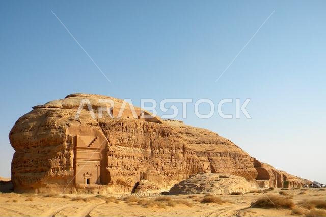 Arabian desert. Saudi Arabia