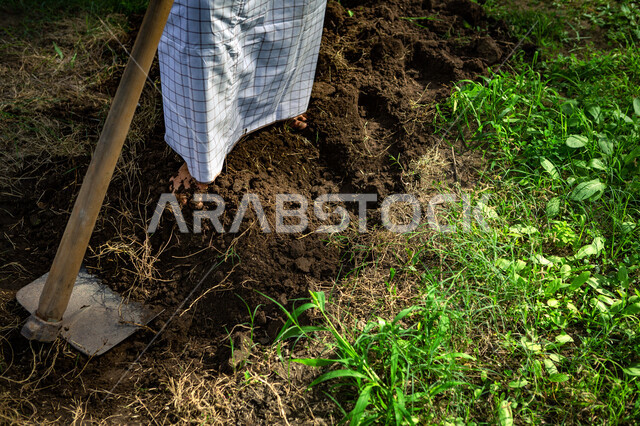 مزارع عربي سعودي خليجي يعمل في المزرعه, حرث الأرض والتربه, محاصيل زراعيه في المملكه العربيه السعوديه
