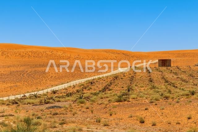ريد ديونز ووايت رود