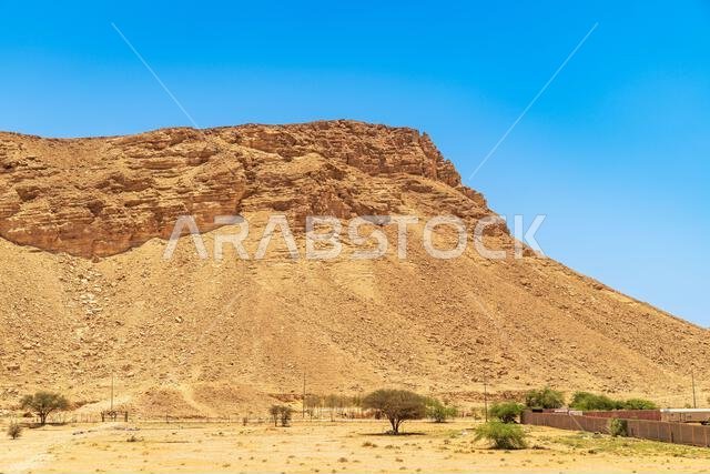 ميسا وأولد فارم