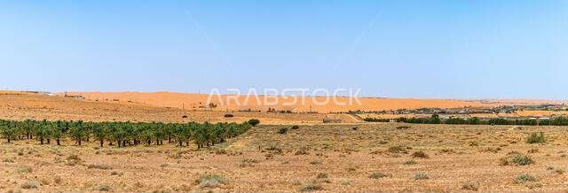 مناظر طبيعية للكثبان الرملية ومزرعة التمر