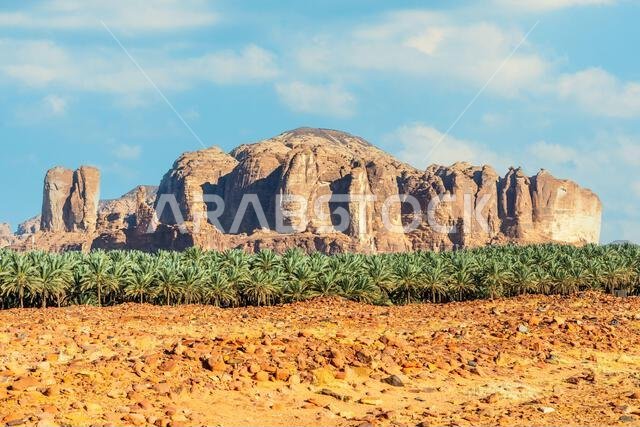 تشكيلات التآكل الصحراوي بالقرب من مقابر دادان، العلا، مدائن صالح، المملكة العربية السعودية8