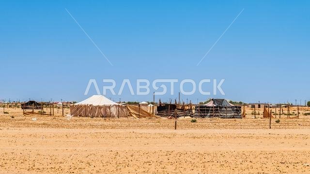 Desert Tents - Saudi Arabia