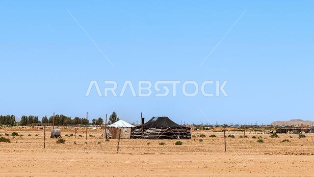 Desert Tents - Saudi Arabia