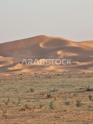 صورة مقرّبة لمنظر طبيعي خلاب لصحراء في يوم مشمس حار في المملكة العربية السعودية