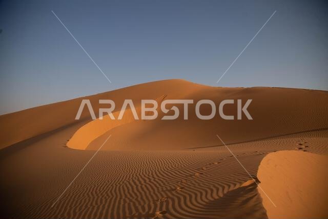 صورة مقرّبة لمنظر طبيعي خلاب لصحراء في يوم مشمس حار في المملكة العربية السعودية