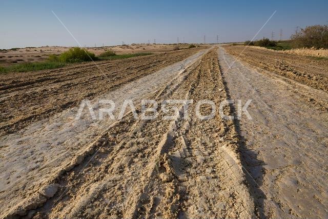 Morning view at Dammam desert Saudi Arabia.