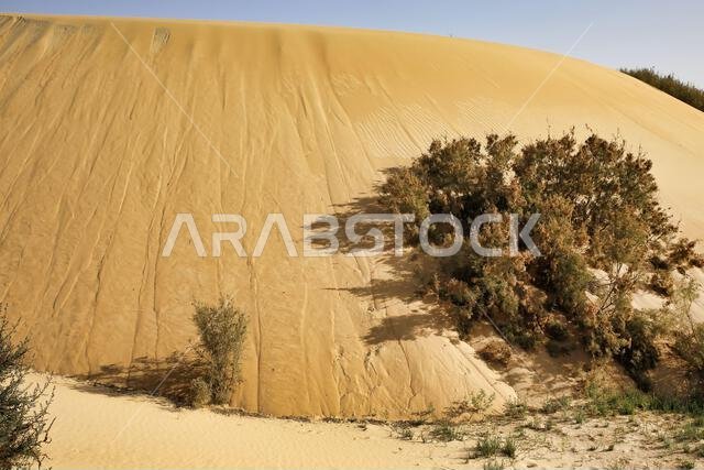 Desert Sand Pattern at Abqaiq Dammam Saudi Arabia.