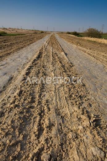 Morning view at Dammam desert Saudi Arabia.
