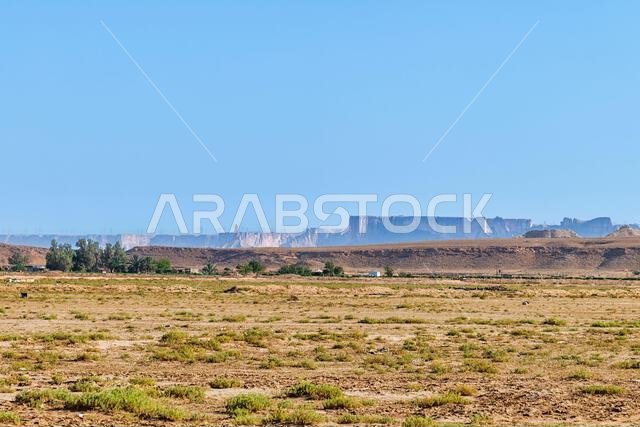 Muzahmiyah Landscapes