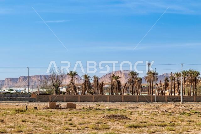 Muzahmiyah Landscape - morning light.