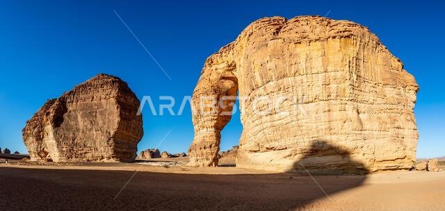 صخرة ضخمة من الحجر الرملي على شكل فيل، نحتتها عوامل التعرية، تقف شامخة في الصحراء، العلا، المملكة العربية السعودية