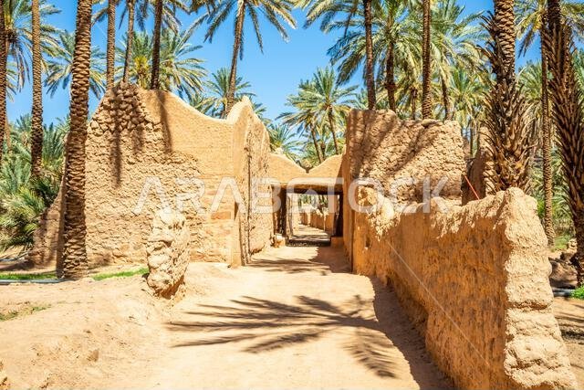 شارع البلدة القديمة المدمر في العلا، والذي تصطف على جانبيه أشجار النخيل، المملكة العربية السعودية