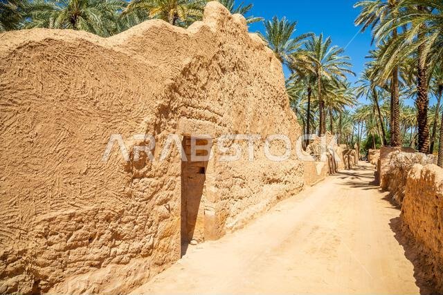 شارع البلدة القديمة المدمر في العلا، والذي تصطف على جانبيه أشجار النخيل، المملكة العربية السعودية