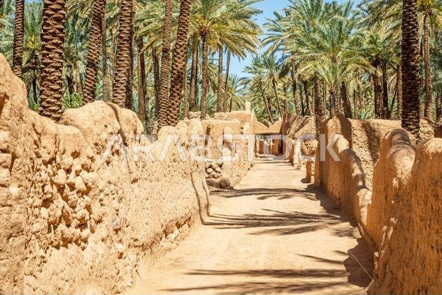 شارع البلدة القديمة المدمر في العلا، والذي تصطف على جانبيه أشجار النخيل، المملكة العربية السعودية
