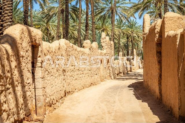 Al Ula ruined old town street with palms along the road, Saudi Arabia
