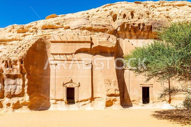 مقابر نبطية منحوتة من الحجر مع شجرة على اليمين، جبل البنات، الحِجر، العلا، المملكة العربية السعودية 8