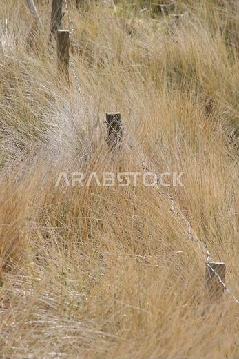 Sand dunes