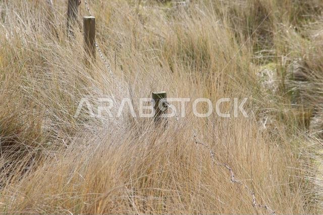 Sand dunes