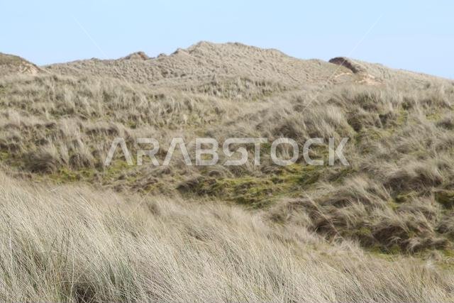 Sand dunes
