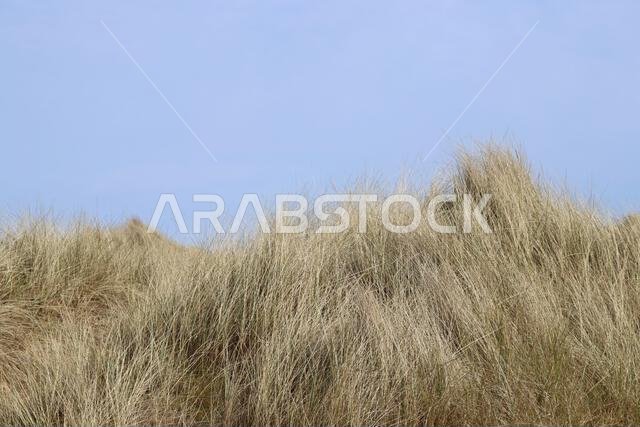 Sand dunes
