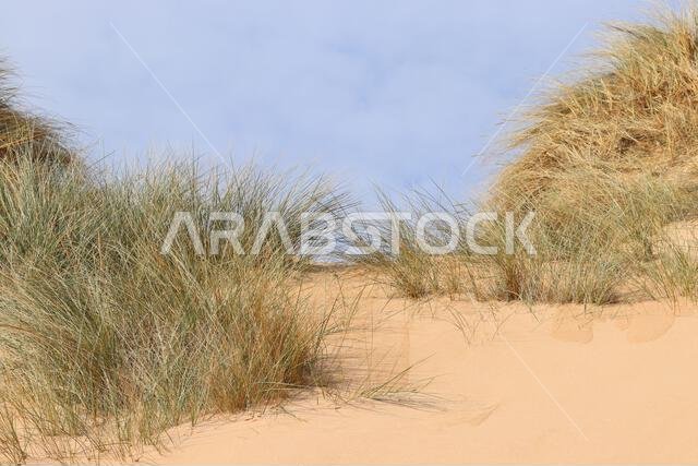 Sand dunes