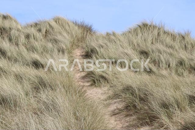 Sand dunes