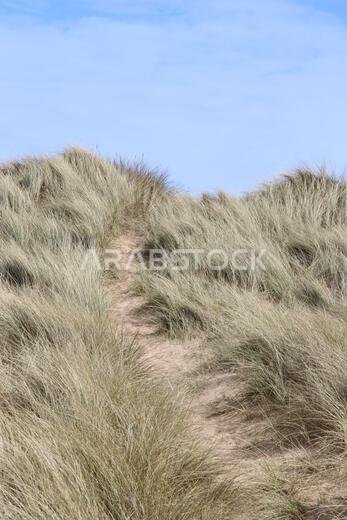 Sand dunes