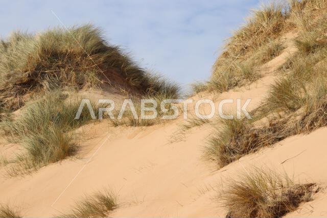 Sand dunes