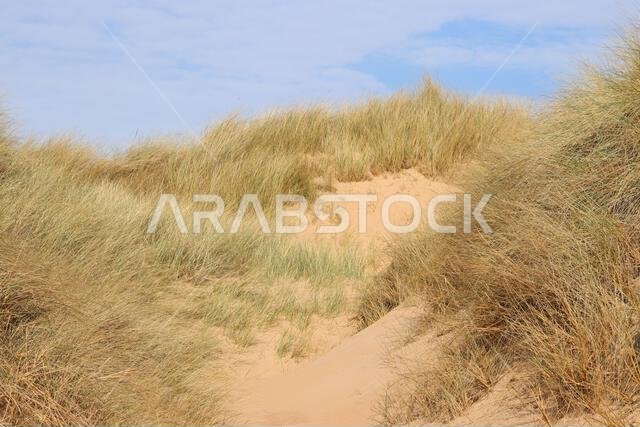 Sand dunes