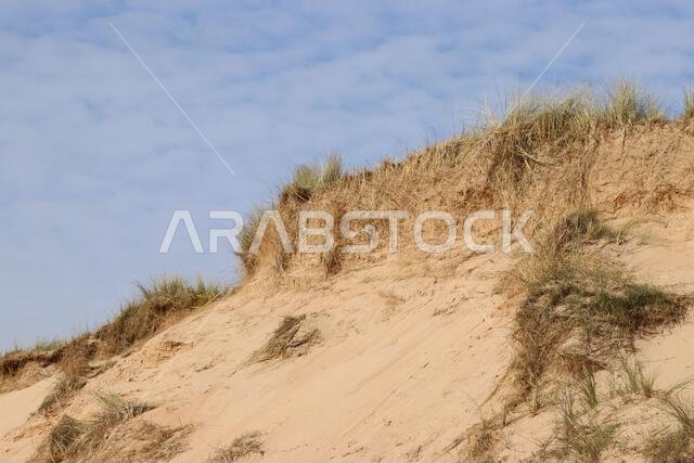 Sand dunes