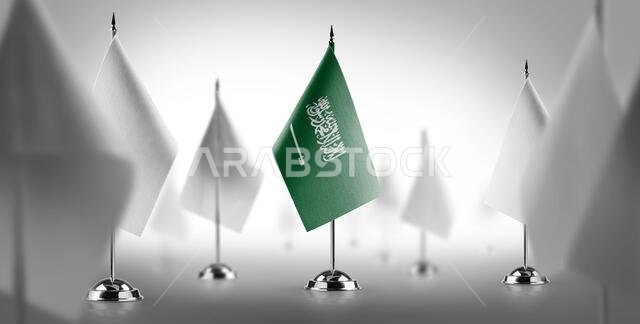 العلم الوطني للمملكة العربية السعودية محاطًا بأعلام بيضاء