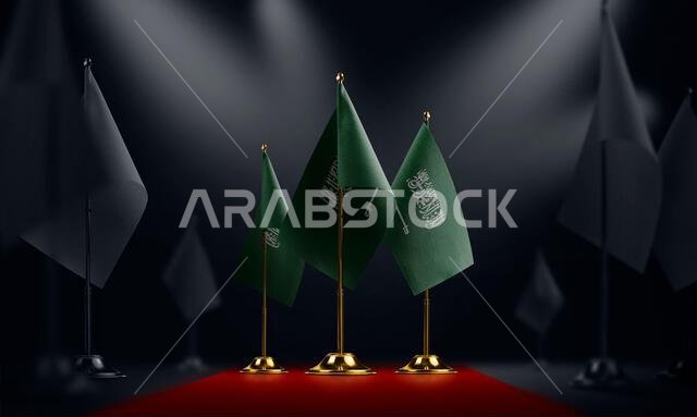 العلم الوطني للمملكة العربية السعودية على السجادة الحمراء
