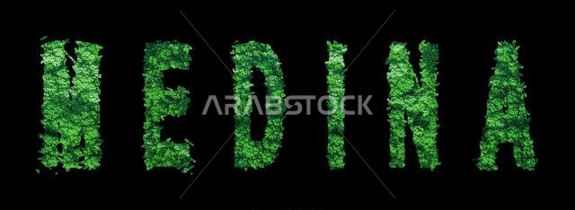 Medina lettering, Medina Forest Ecology Concept on Black, Clipping Path
