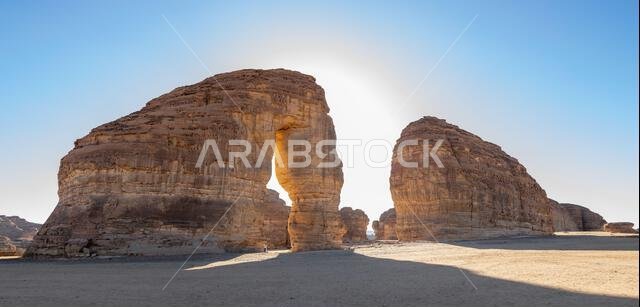 Sandstone elephant rock erosion monolith standing in the desert, Al Ula, Saudi Arabia