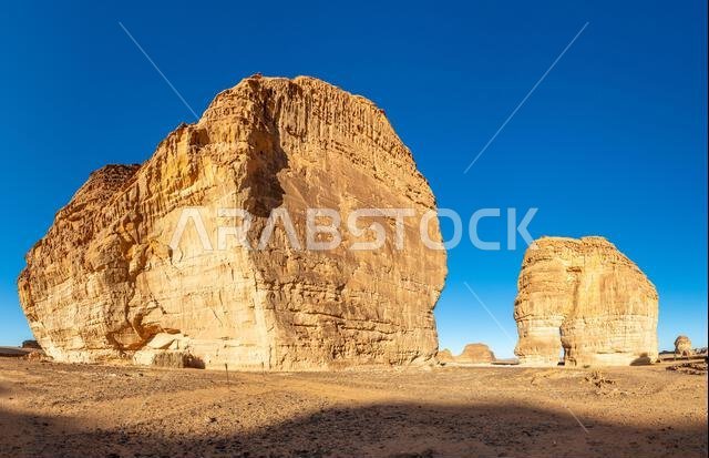 صخرة ضخمة من الحجر الرملي على شكل فيل، نحتتها عوامل التعرية، تقف شامخة في الصحراء، العلا، المملكة العربية السعودية