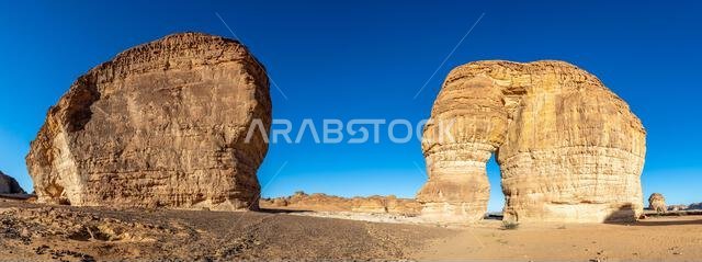 Sandstone elephant rock erosion monolith standing in the desert, Al Ula, Saudi Arabia