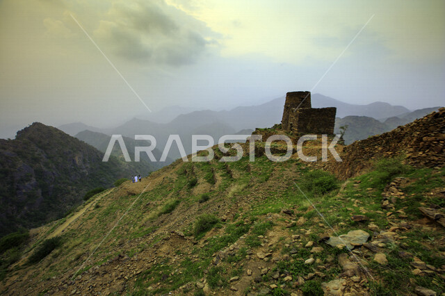 Landscapes from the highest mountains in Saudi Arabia, green nature in the mountains, tourism in Saudi Arabia