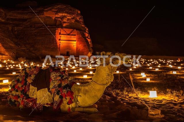 جمل مستلقٍ أمام المقابر القديمة لمدينة الحجر المضاءة ليلاً، العلا، المملكة العربية السعودية