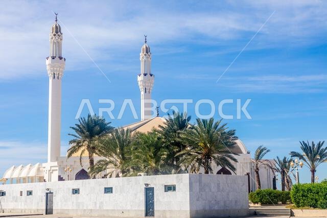 Hassan Enany golden domed mosque with palms in foreground, Jeddah, Saudi Arabia