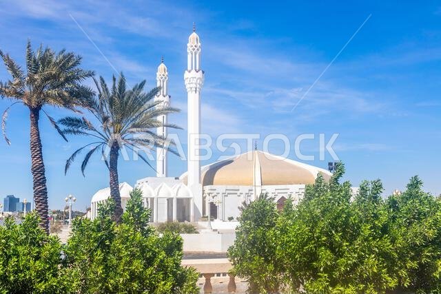 Hassan Enany golden domed mosque with palms in foreground, Jeddah, Saudi Arabia