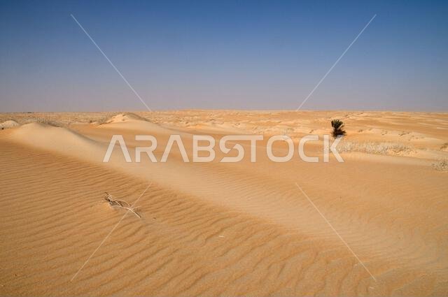 صحراء، المملكة العربية السعودية
