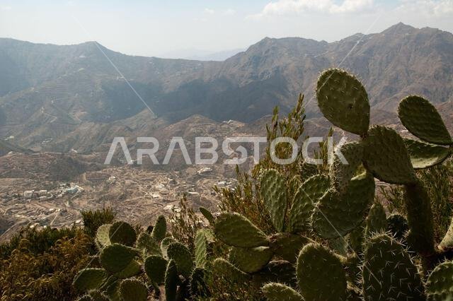 سلسلة جبال عسير في جنوب غرب المملكة العربية السعودية