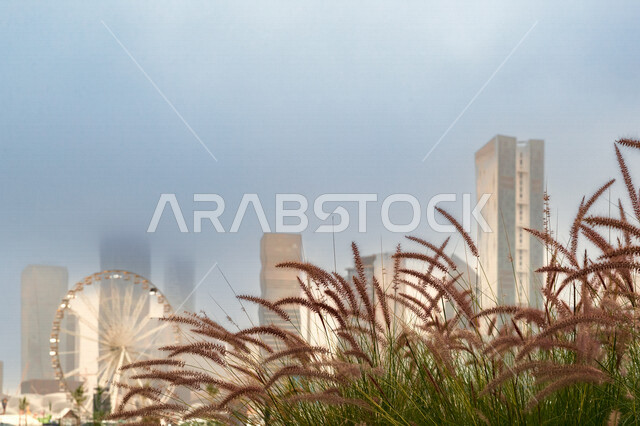 مركز الملك عبدالله المالي ( كافد ) في الرياض بالمملكة العربية السعودية، الأبراج وناطحات السحاب، معالم الرياض المشهورة، الفن الهندسي المعماري بالسعودية، السياحة في السعودية